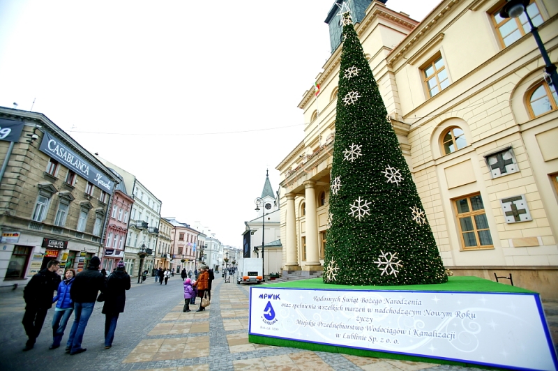 D011.JPG