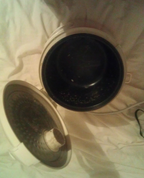 IMAG0552.jpg