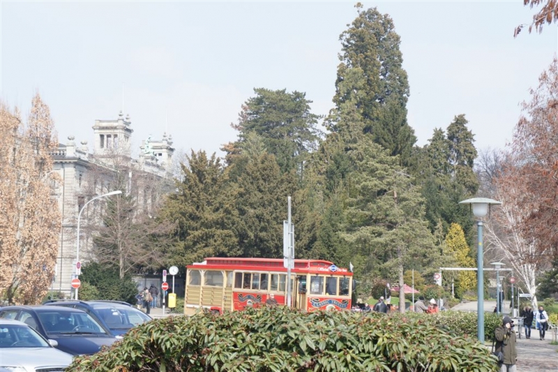观光火车.JPG