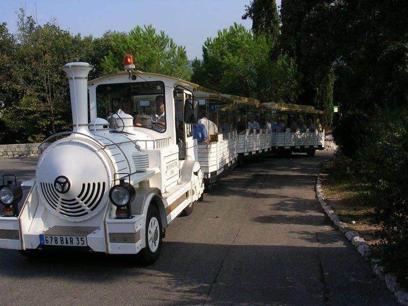 10-尼斯观光小火车.jpg