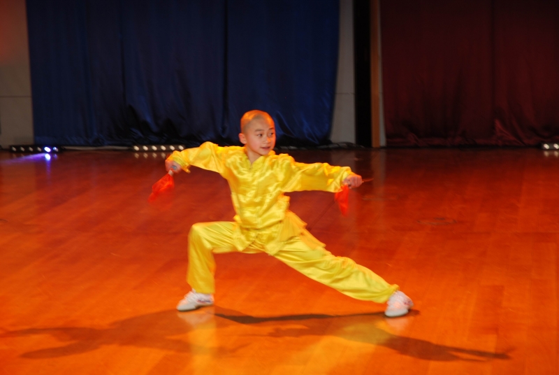 欢乐春节波兰行文艺演出——少林功夫.jpg