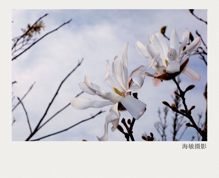 DPP_002_副本.jpg