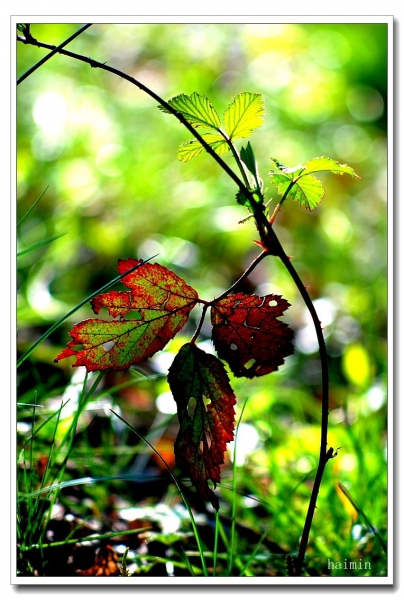 DPP_0109_.jpg