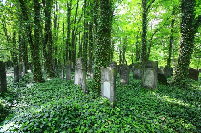 Cmentarz ydowski3_副本.jpg