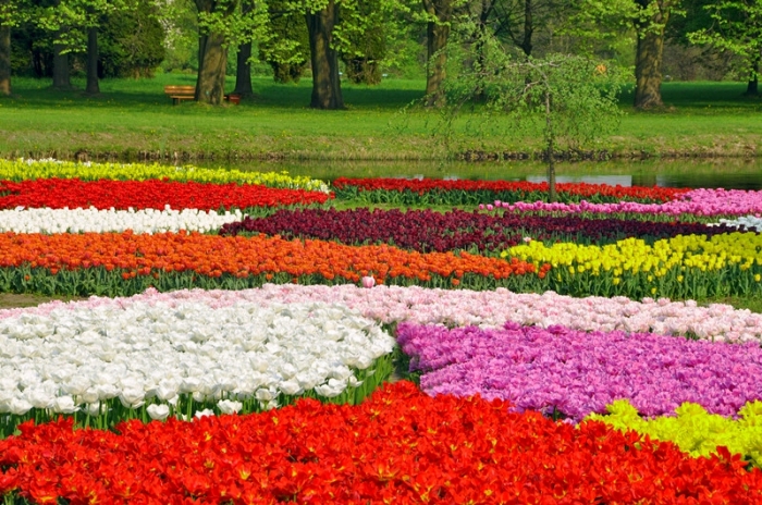 5  Ogród Botaniczny_副本.jpg