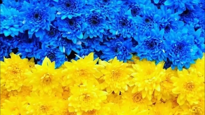 Ukraina.jpg