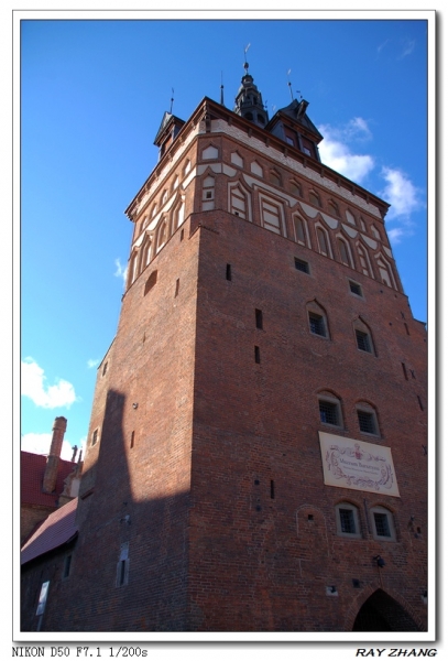 DSC_0081_光影_1.jpg