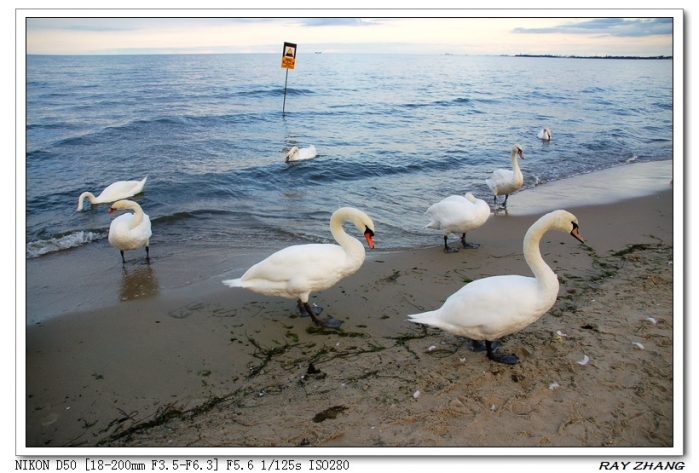 DSC_0221_光影_1.jpg