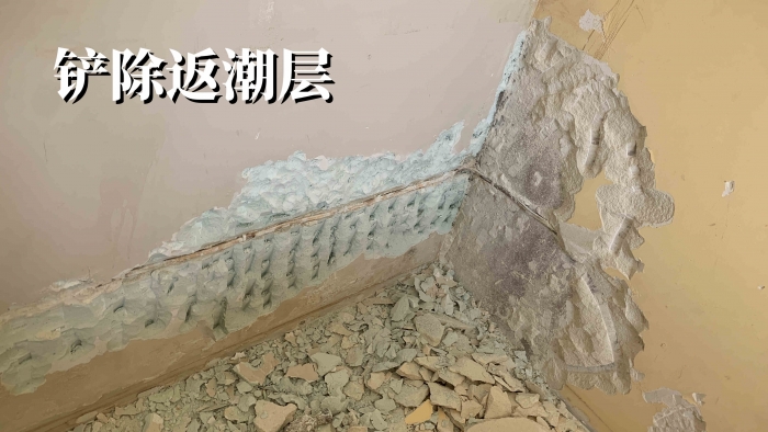 图片_20240602073259.jpg