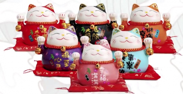 小猫家属.JPG