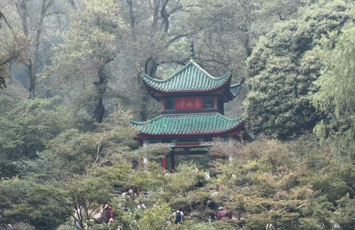 爱晚亭.jpg